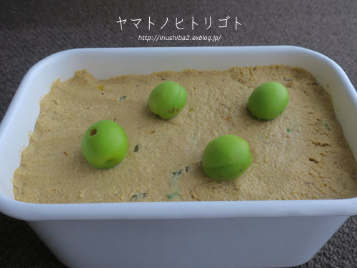 嫁がせました。_e0394031_06061869.jpg