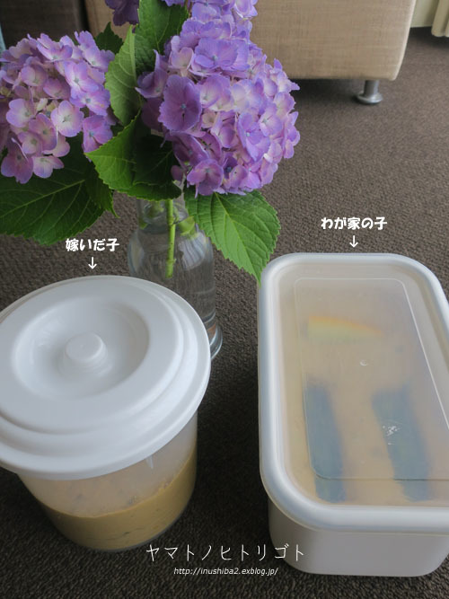 嫁がせました。_e0394031_06062320.jpg