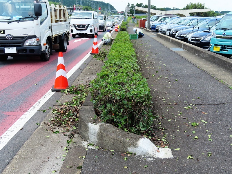新世代スバルサンバートラックはオリジナルを超えた_f0076731_21051948.jpg