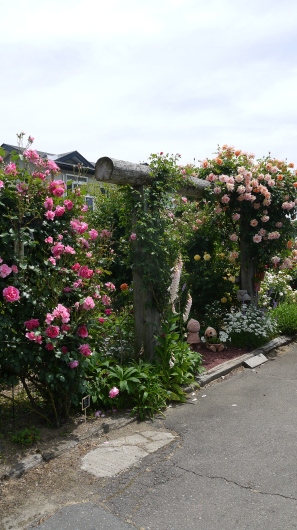 八幡平市の杉本ガーデン…素敵です_a0123133_13453850.jpg