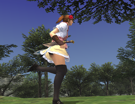 アビセアンNMの探し方 まとめ_e0401547_15442686.png