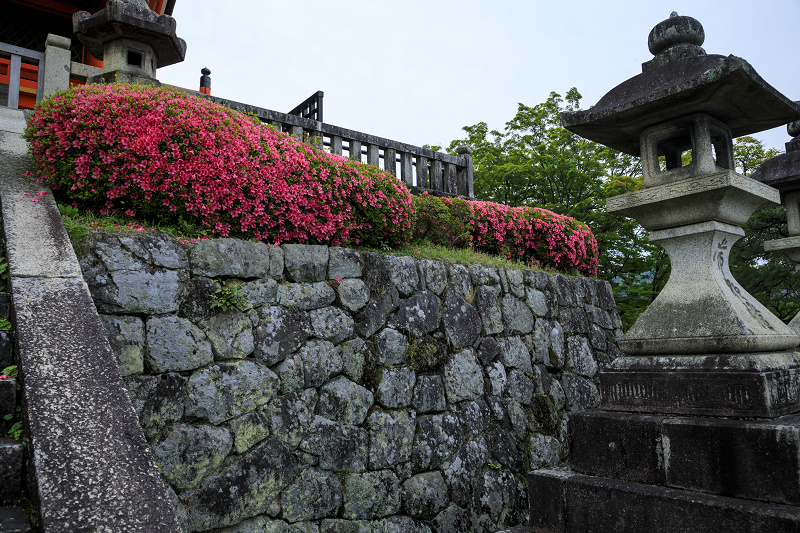 サツキ咲く清水寺_f0155048_073969.jpg