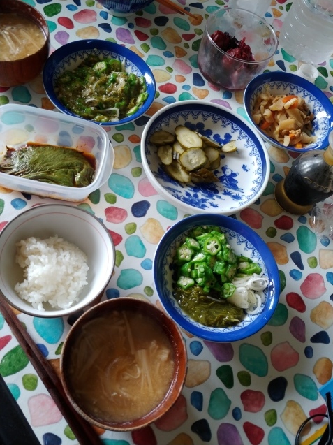 6月15日 朝・昼・晩_c0162773_19594582.jpg