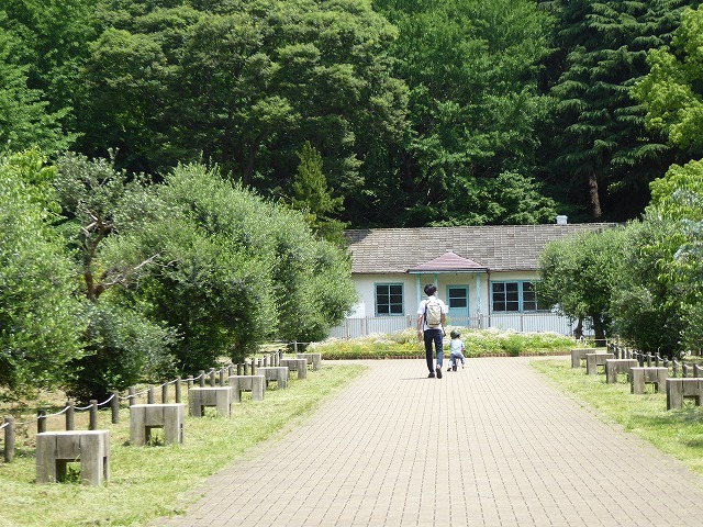 代々木公園でお弁当デビュー 2か月の外出自粛だったので すごくリラックスしたよ ルソイの半バックパッカー旅 代々木公園でお弁当デビュー 2か月の外出自粛だったので すごくリラックスしたよ ルソイの半バックパッカー旅