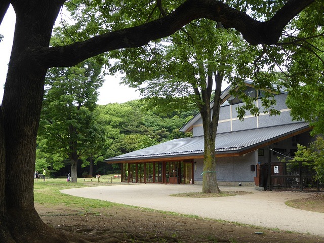 代々木公園でお弁当デビュー 2か月の外出自粛だったので すごくリラックスしたよ ルソイの半バックパッカー旅 代々木公園でお弁当デビュー 2か月の外出自粛だったので すごくリラックスしたよ ルソイの半バックパッカー旅