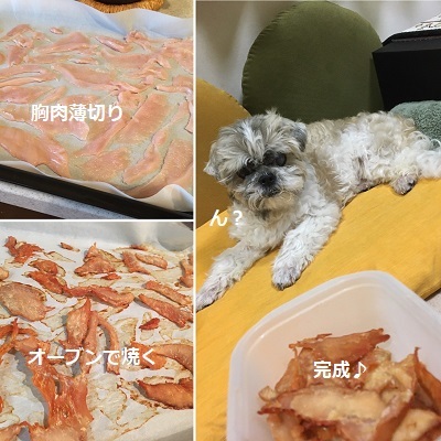 今日は王子のドナドナデー。_f0372998_19372670.jpg