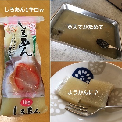 今日は王子のドナドナデー。_f0372998_19380153.jpg