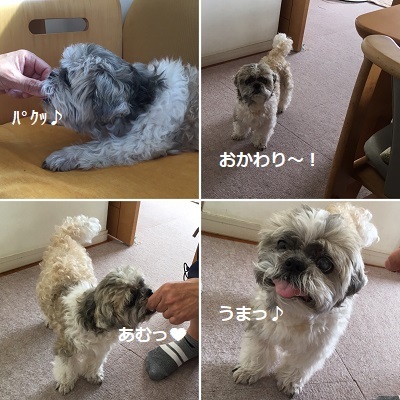 今日は王子のドナドナデー。_f0372998_19380992.jpg