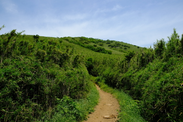 低山登山を楽しむ_e0000910_11471872.jpg