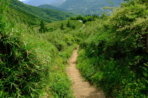 低山登山を楽しむ_e0000910_11531425.jpg