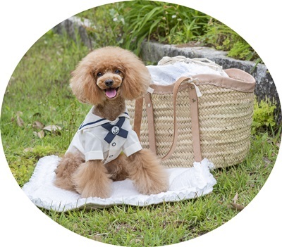 心ときめくカゴキャリー・カフェマット : まめつぶ