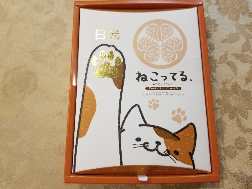 肉球 みぶちょさんは食いしん坊