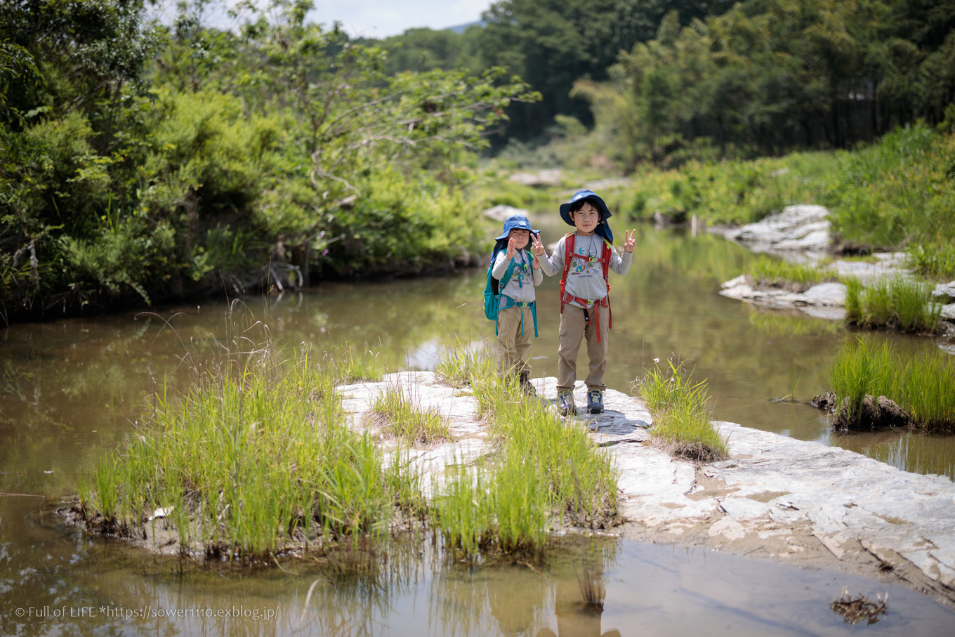 初夏の岩畳を歩こう 長瀞渓谷 Full Of Life 初夏の岩畳を歩こう 長瀞渓谷 Full Of Life