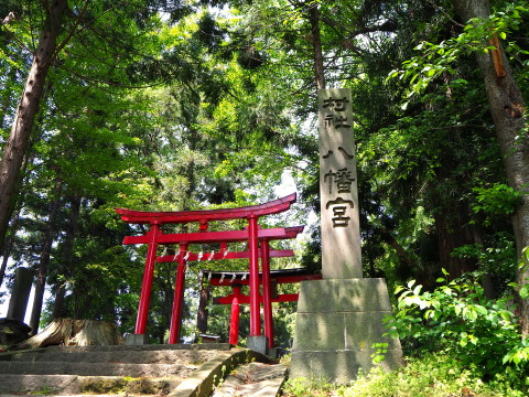 石川八幡宮(弘前市)*津軽ジェンヌの鬼コ巡り(4)_b0147224_1136168.jpg