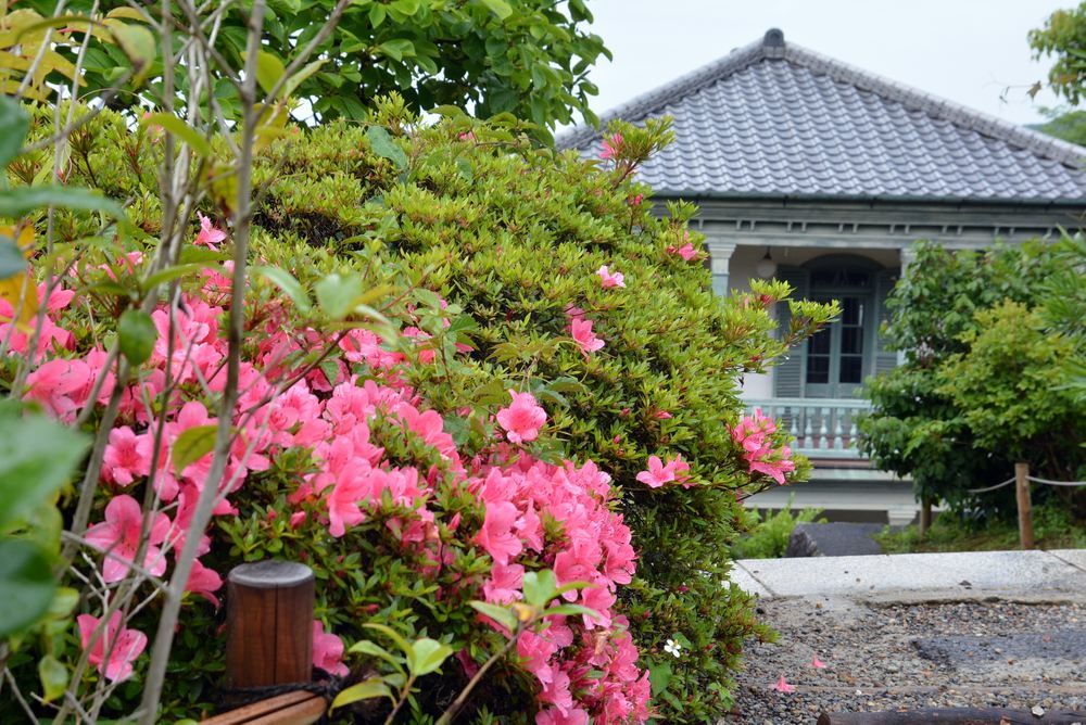 神戸山手西洋人住居とサツキの花_e0373930_21252389.jpg