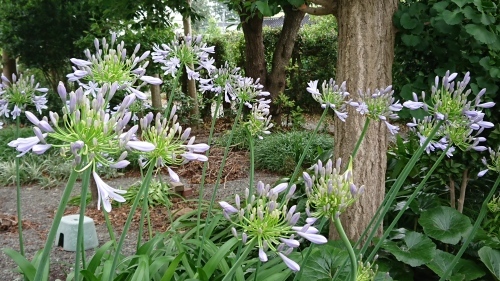今日の富士山と人間は欲深い生き物 誰かのために 何かのために