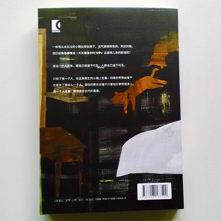 装画の仕事「万重山」_a0052641_00522604.jpg