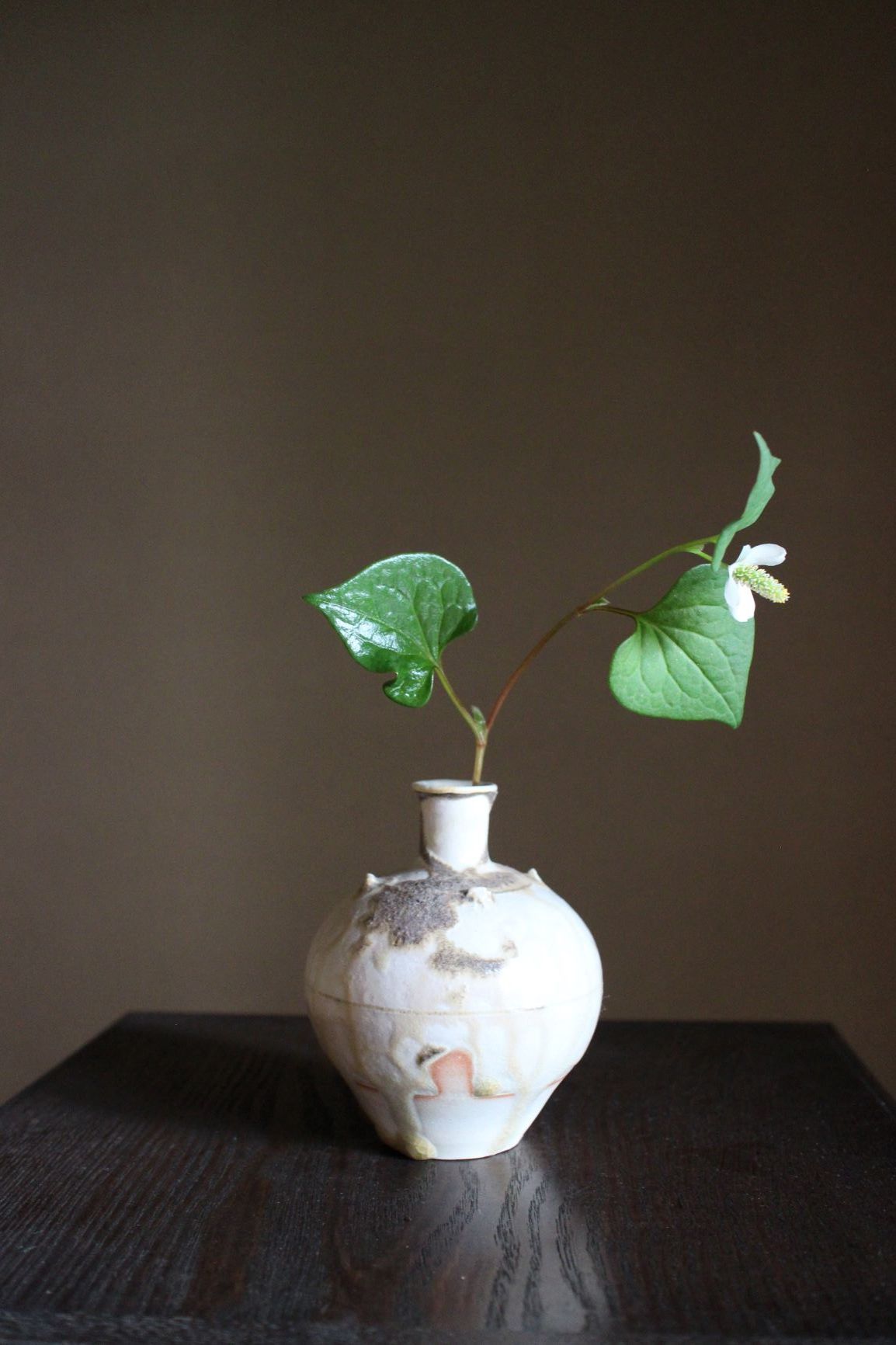 陶 光藤 佐 ウィンドウ展_a0279848_12483487.jpg