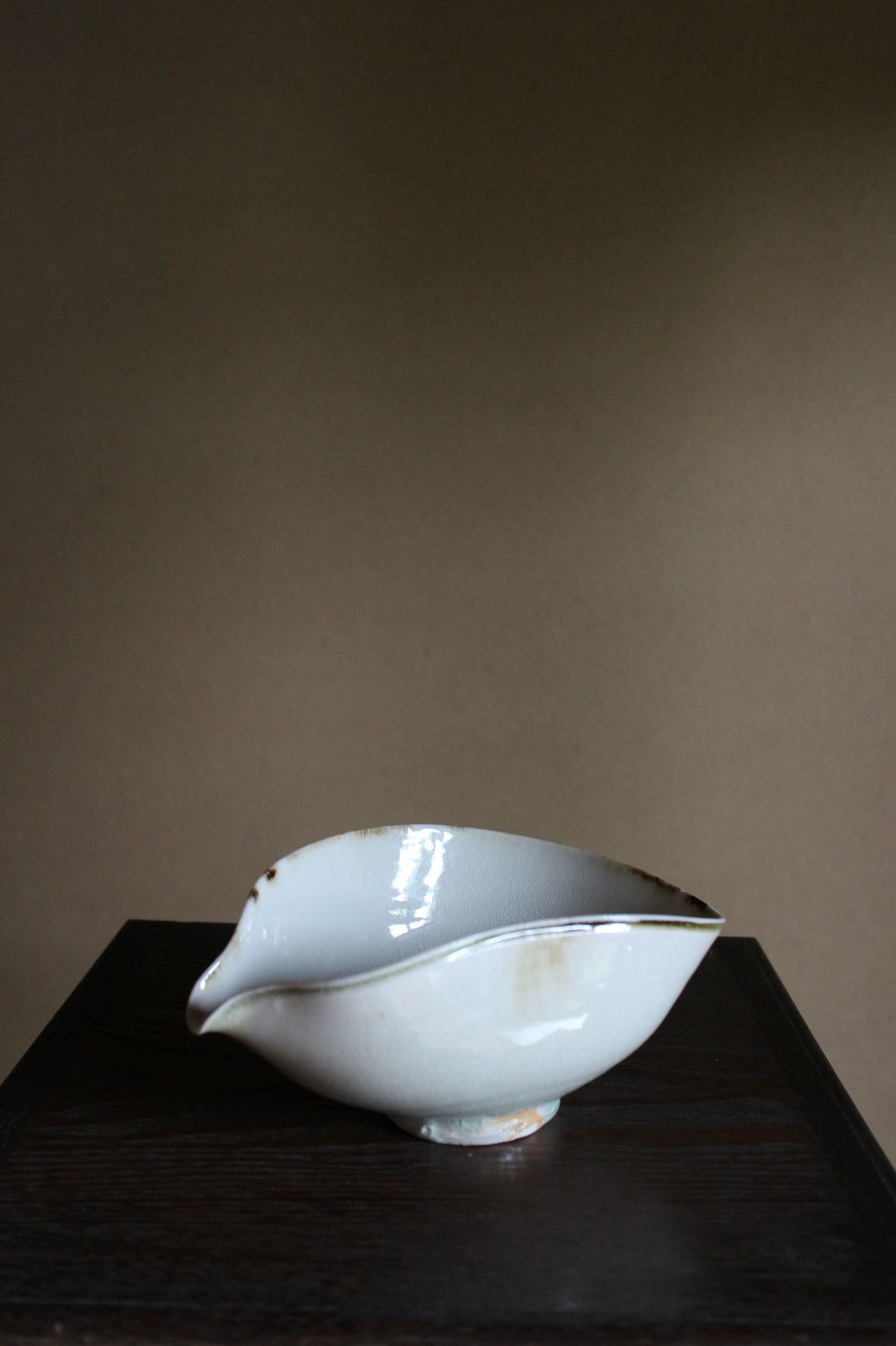 陶 光藤 佐 ウィンドウ展_a0279848_12495394.jpg