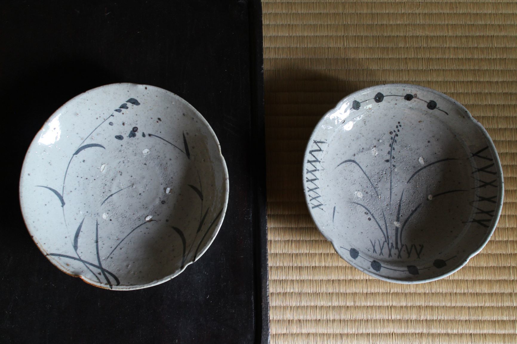陶 光藤 佐 ウィンドウ展_a0279848_12512963.jpg