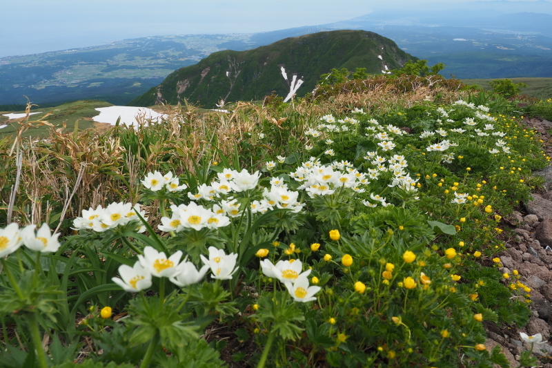2020/6/13 笙ヶ岳 象潟口から吹浦口周回_b0189948_21493375.jpeg