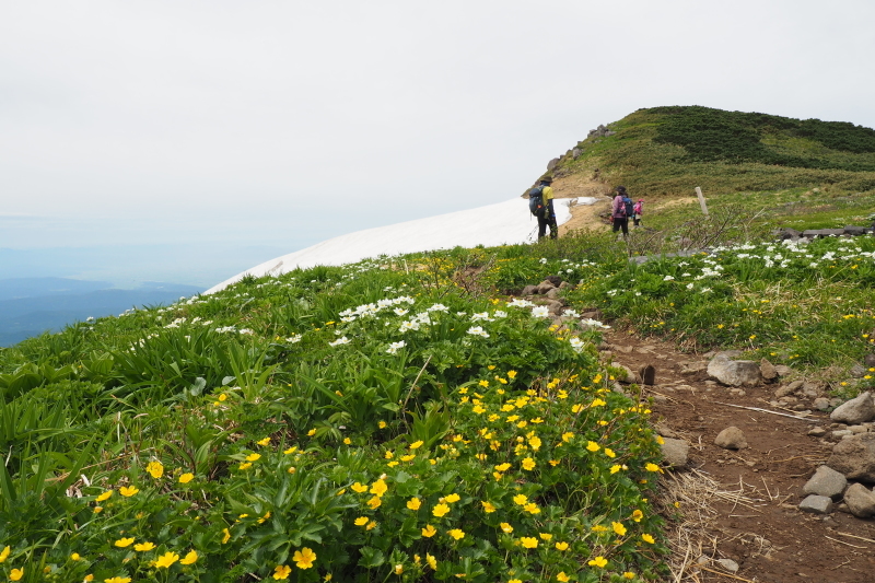 2020/6/13 笙ヶ岳 象潟口から吹浦口周回_b0189948_22255642.jpeg
