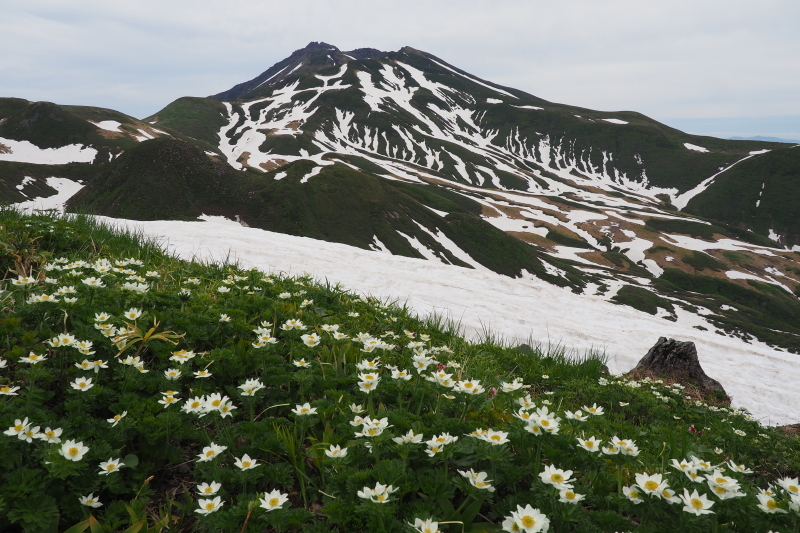 2020/6/13 笙ヶ岳 象潟口から吹浦口周回_b0189948_22370988.jpeg