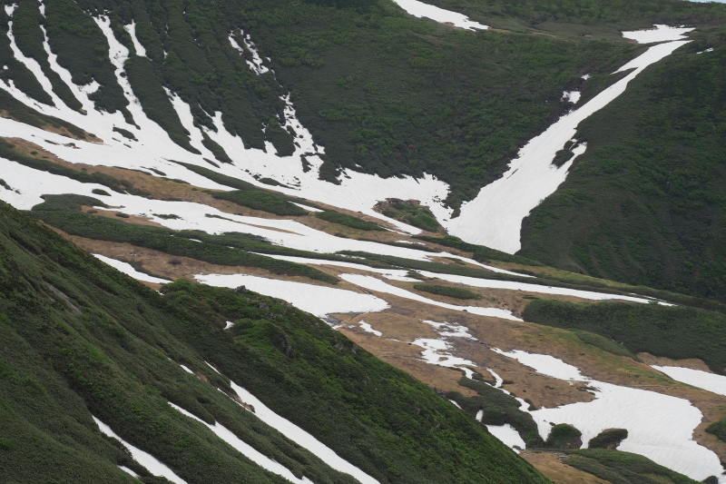 2020/6/13 笙ヶ岳 象潟口から吹浦口周回_b0189948_22384174.jpeg