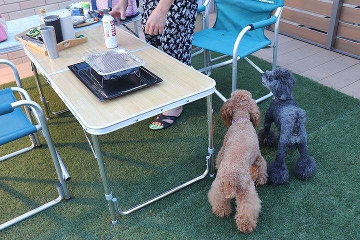 １００均のインスタントコンロでプチbbq うちにかえろう