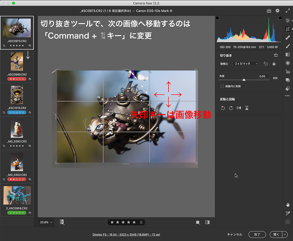 Camera Raw 12.3 新しいUIの変更点と注意点、そして新機能②　ズームツールと切り抜きと、、レーティングなんかのショートカットが大きく変わった。_f0274403_09474119.jpg