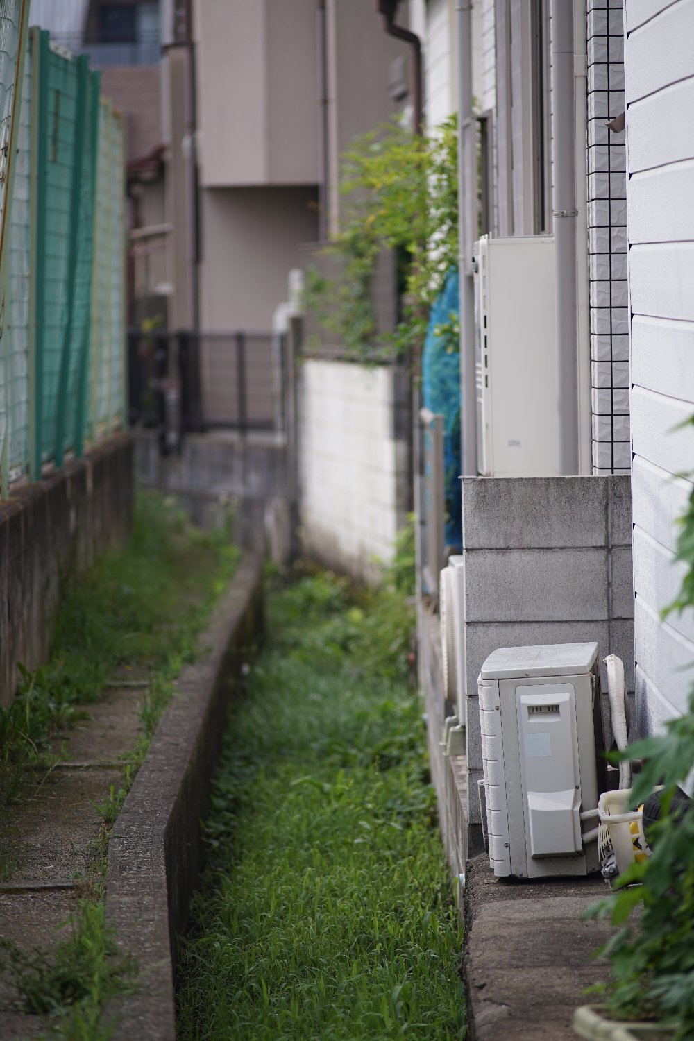 Nikkor-Q C Auto 200mm F4 で ちょっと散歩_b0069128_08425519.jpg