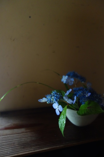 梅雨の晴れ間_a0197730_10592042.jpeg