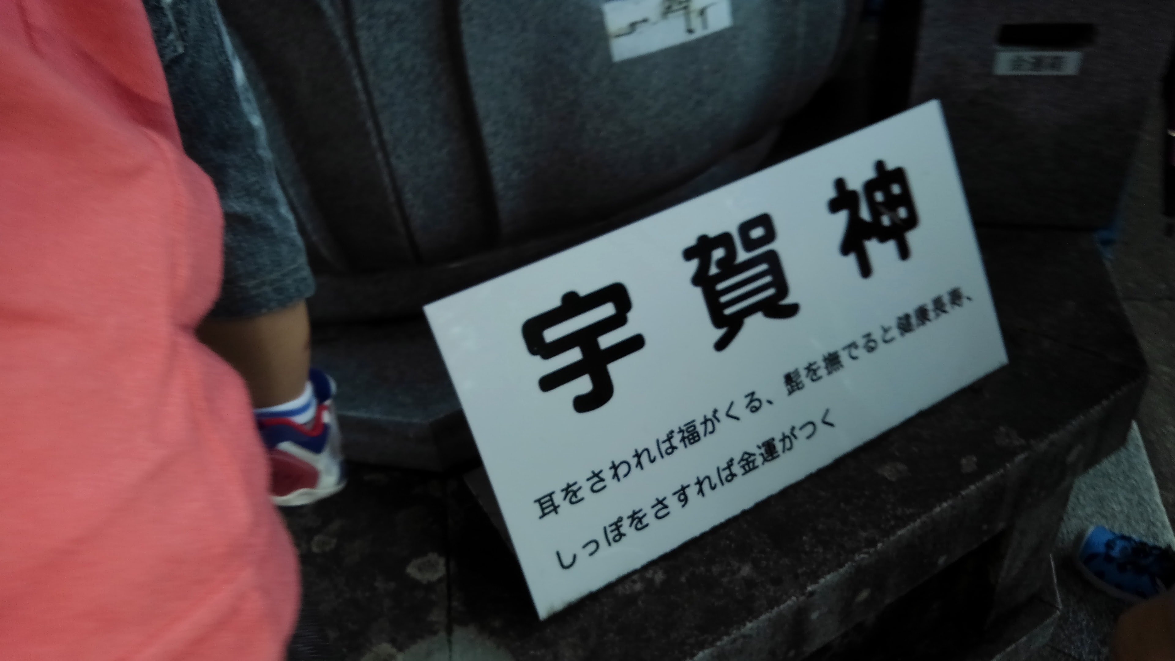 第十番 三室戸寺_c0236632_13092782.jpg