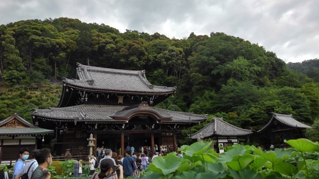 第十番 三室戸寺_c0236632_13101106.jpg