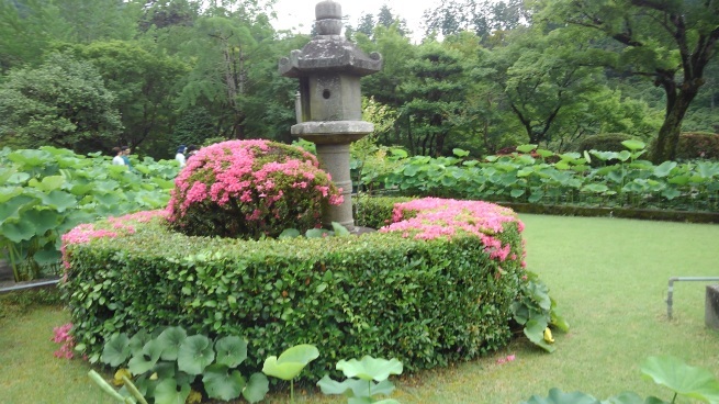 第十番 三室戸寺_c0236632_13104064.jpg