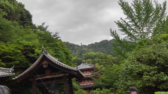 第十番 三室戸寺_c0236632_13110763.jpg