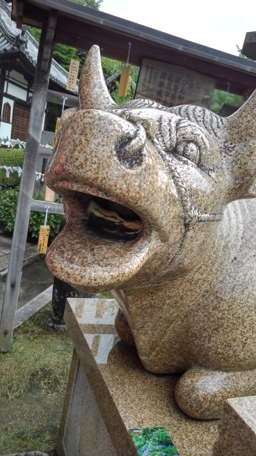 第十番 三室戸寺_c0236632_13122987.jpg