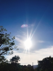 朝ランと551_a0059035_21281685.jpg