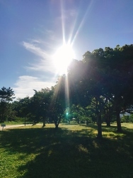 朝ランと551_a0059035_21281838.jpg