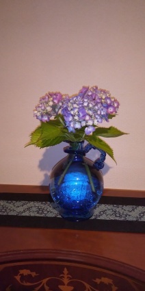紫陽花_a0111545_08473935.jpg