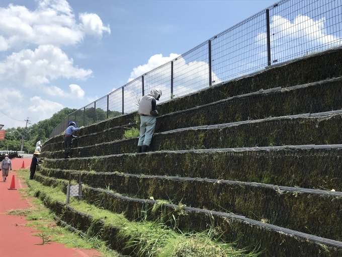 スポーツの森を歩く_b0100062_08464558.jpeg