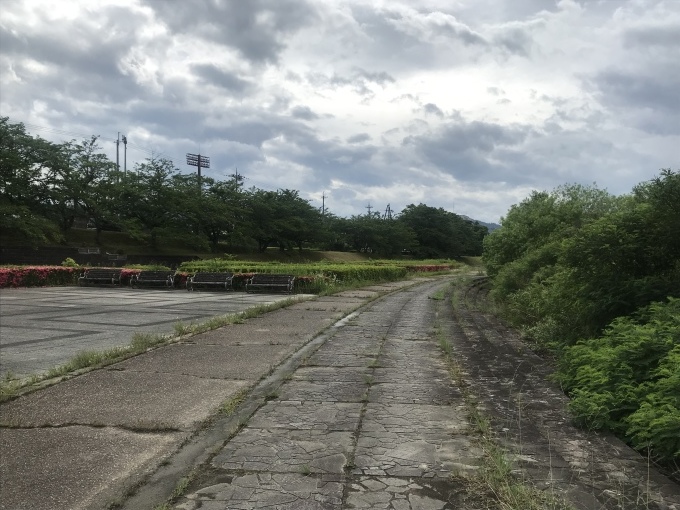 スポーツの森を歩く_b0100062_08495621.jpeg