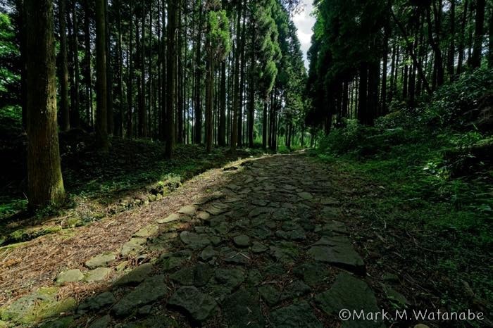 阿蘇参勤交代の石畳の道_e0135098_06431150.jpg