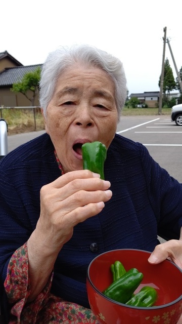 イエローガーデン城端&#127801;ピーマンと紫陽花&#127801;_e0304103_10590417.jpg