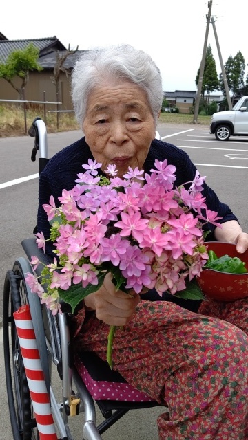 イエローガーデン城端&#127801;ピーマンと紫陽花&#127801;_e0304103_10591421.jpg