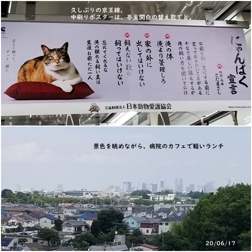 梅雨の中休み_c0051105_06383349.jpg