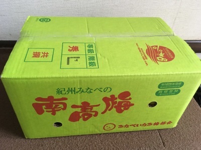 2020梅干し(塩漬け)_f0369014_09150050.jpeg