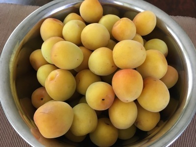 2020梅干し(塩漬け)_f0369014_09170826.jpeg