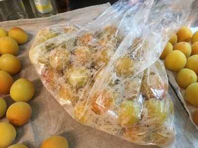 2020梅干し(塩漬け)_f0369014_09174838.jpeg