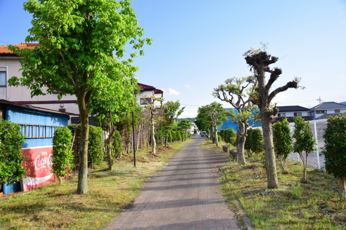 上武鉄道日丹線の廃線跡_a0385725_14024597.jpg